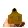 75x65mm animal ear tag